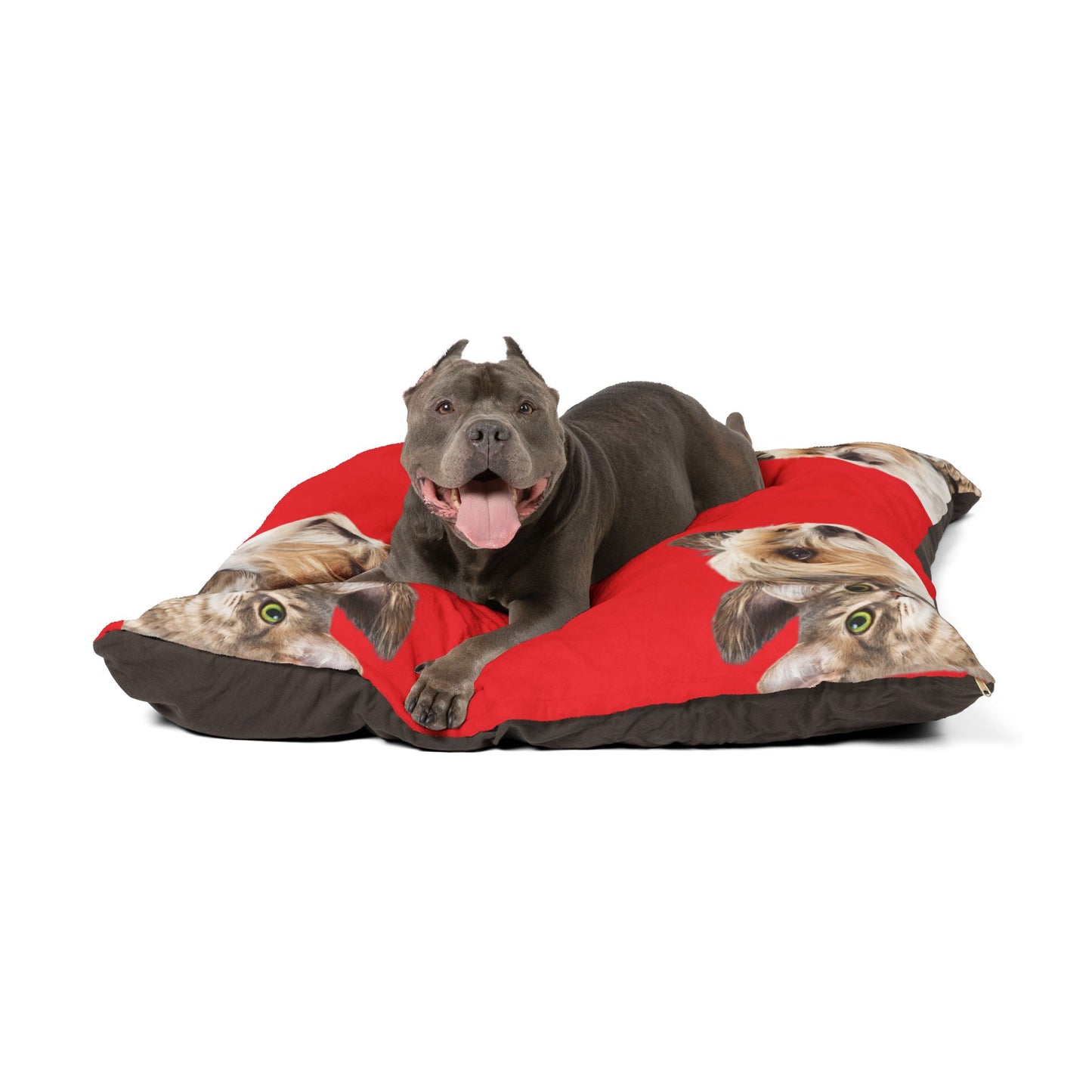 Cozy Pet Bed for Cats and Dogs - 'I Love You' Design, Ideal for Valentine's Day, Pet Lovers, Home Decor, Gift Ideas, Paw Prints