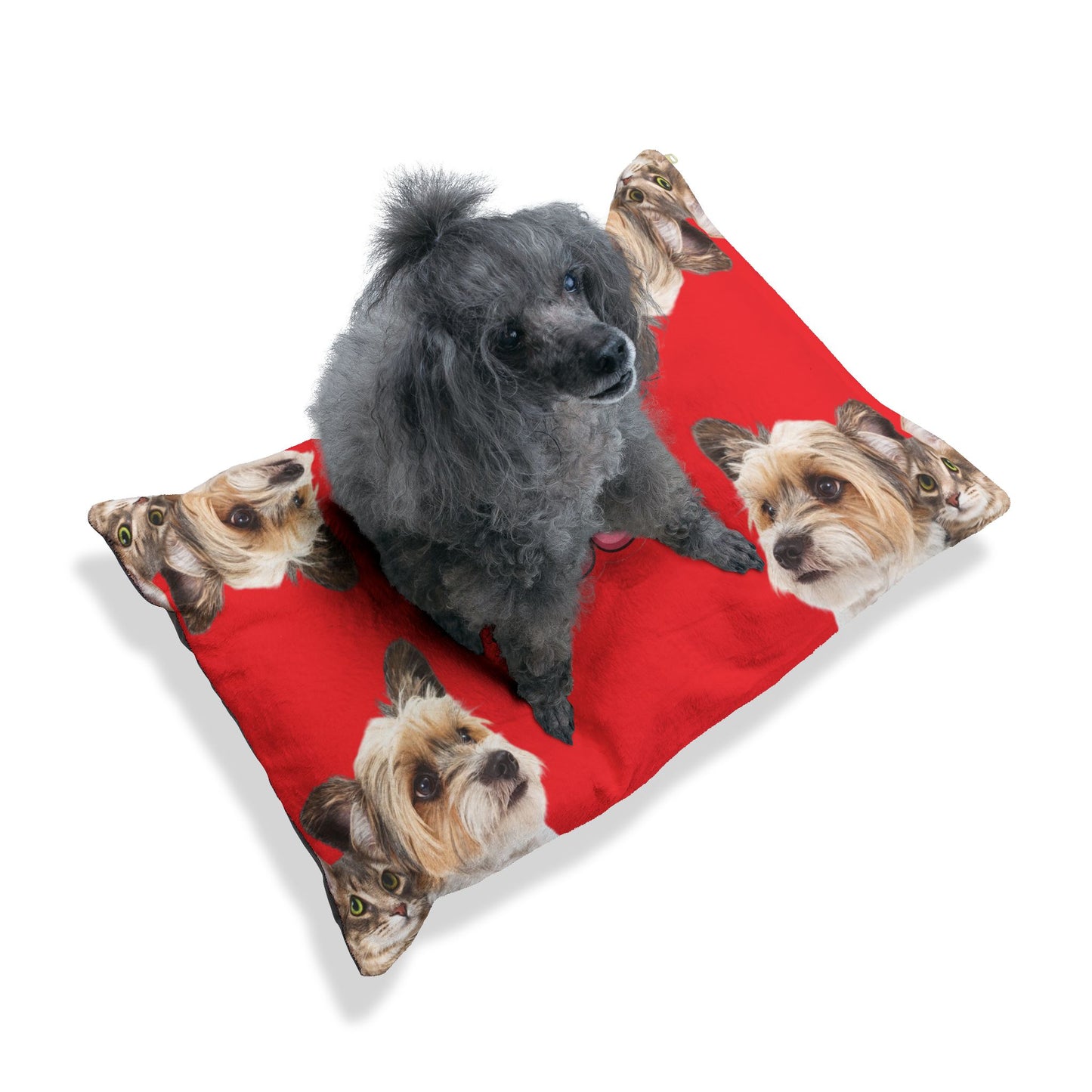 Cozy Pet Bed for Cats and Dogs - 'I Love You' Design, Ideal for Valentine's Day, Pet Lovers, Home Decor, Gift Ideas, Paw Prints
